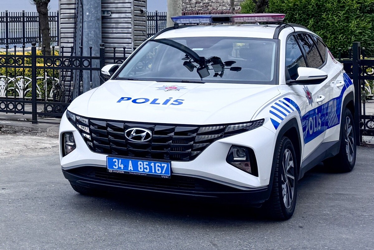     / Источник: © Global Look Press