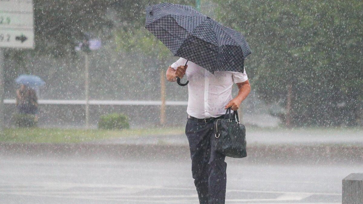    Фото: Belkin Alexey/news.ru