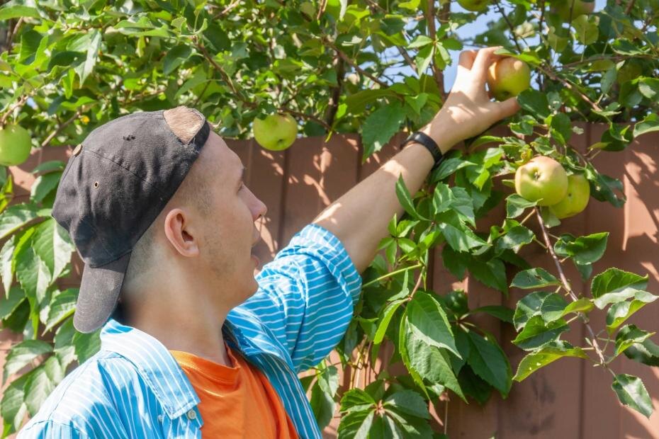    Shutterstock/FOTODOM