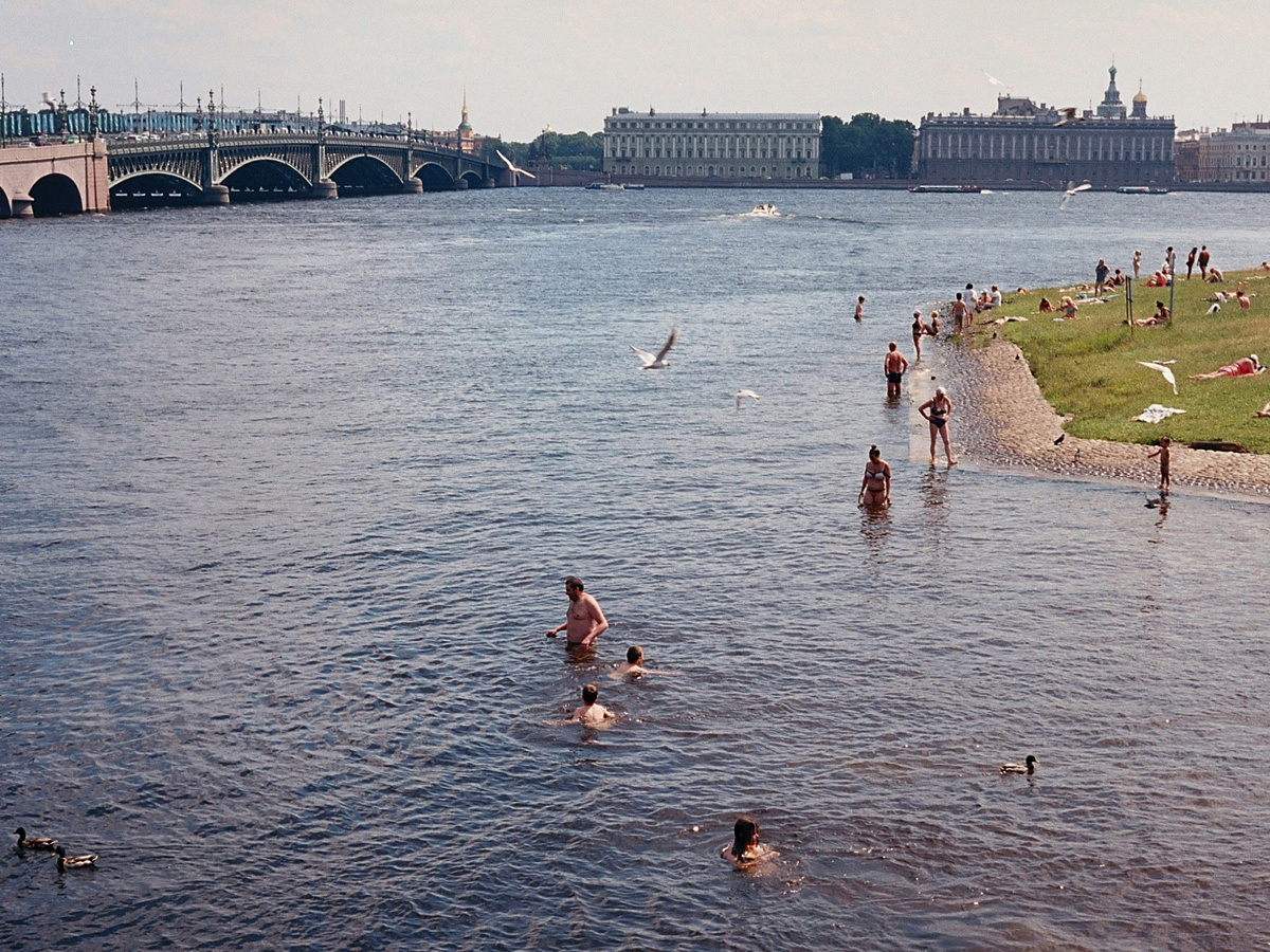 «Цирки» начинают охоту в погожие деньки. Особенно на мелководье, где вода прогревается как суп в кастрюле. Изначально церкарии поднимаются к поверхности в ожидании привычного «транспорта» — птиц . Но вместо утки подворачивается человек, решивший освежиться. Ошибка, фатальная для вредителя и неприятная для человека.