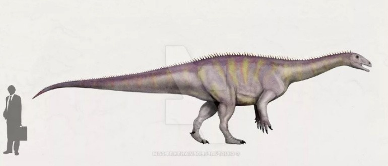 Эвкнемезавр по сравнению с человеком.