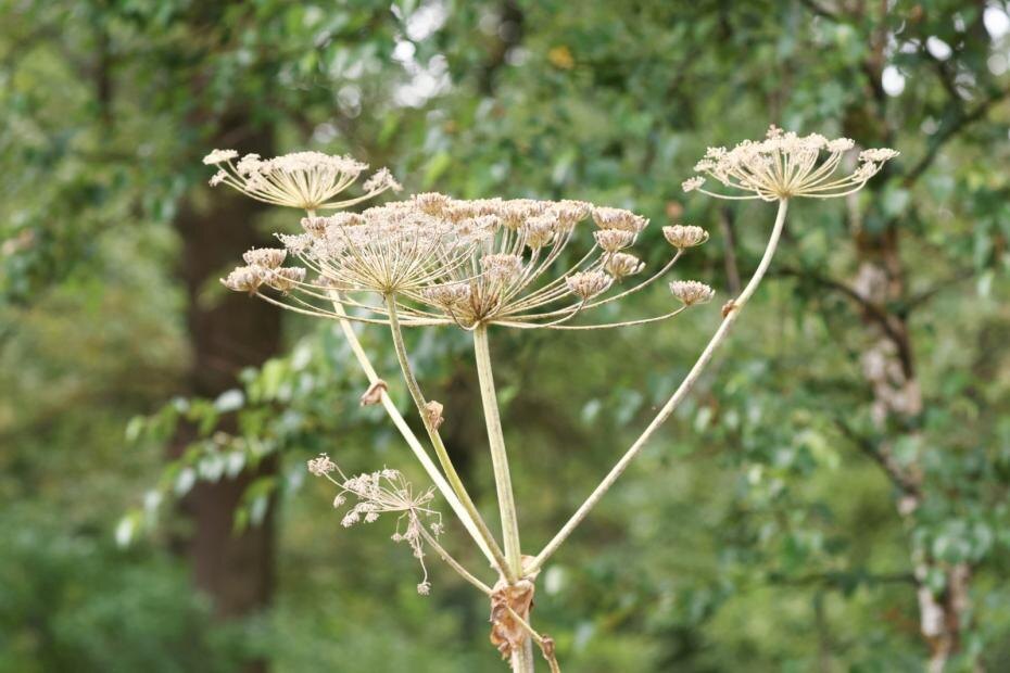    Сергей Петров/NEWS.ru