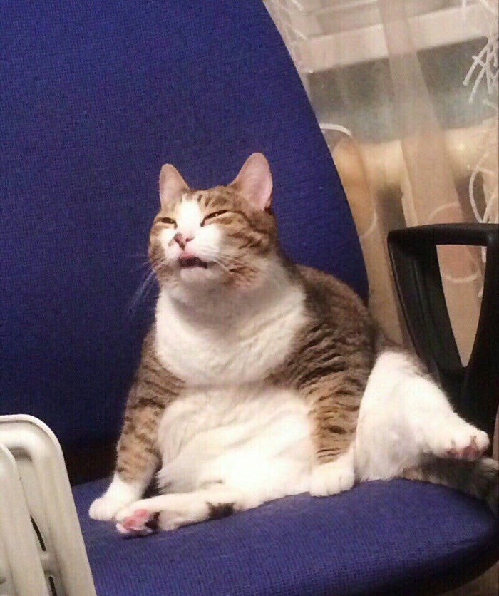 Твое лицо, когда хочется чихнуть