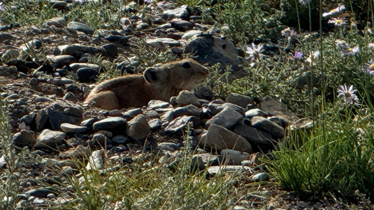 Фото из личного архива автора