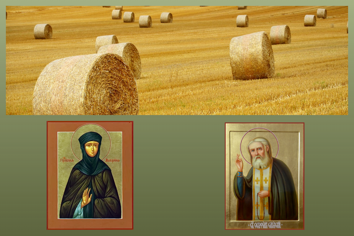 Прп. Серафим Саровский, Прп. Макрина Каппадокийская/azbuka.ru, Поле/pixabay.com