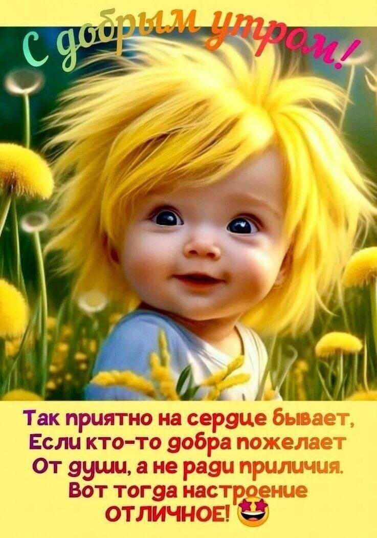 Фото из свободного доступа интернета