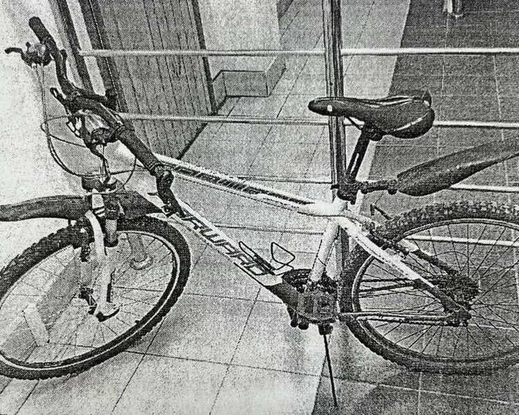     Курянин украл из магазина свой велосипед и на 6 месяцев отправился в колонию