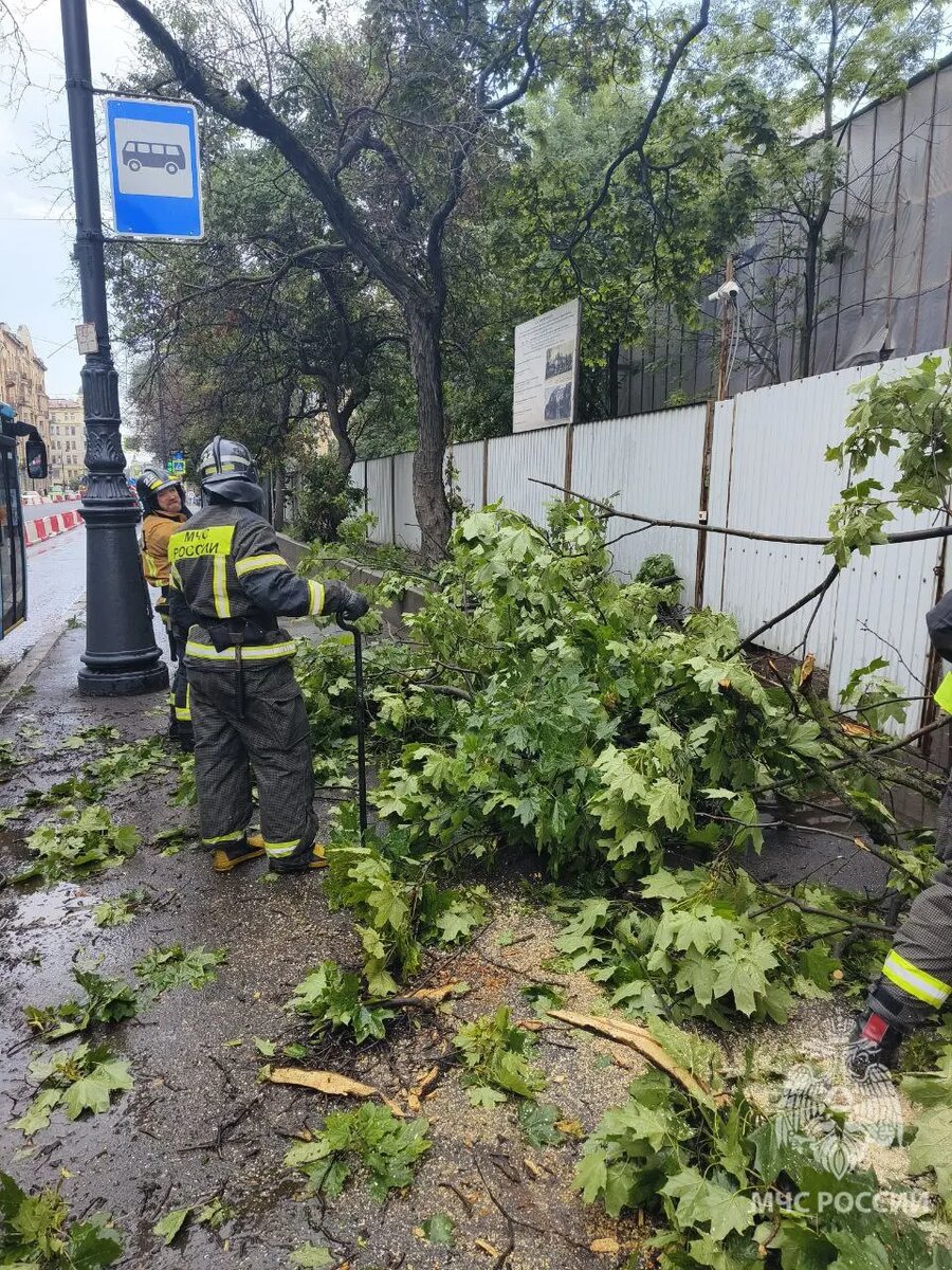    Фото: пресс-служба ГУ МЧС по Петербургу