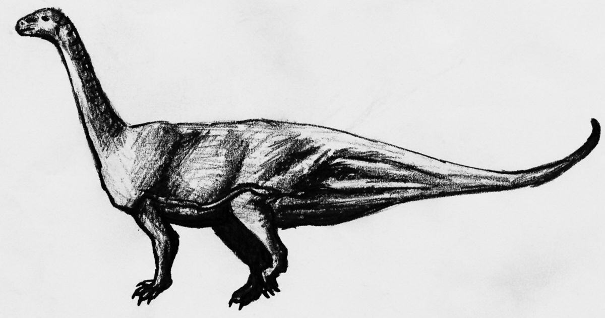 Примитивная реконструкция риоджазавра.