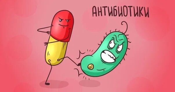 Фото из открытых источников.