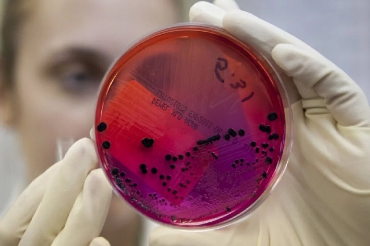    Вспышка сибирской язвы не грозит эпидемией Нижегородской области