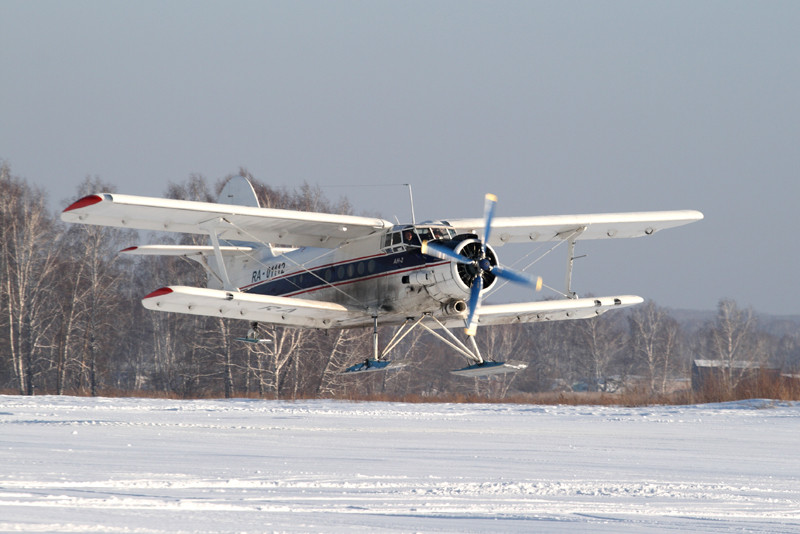Фото из Яндекса. 
