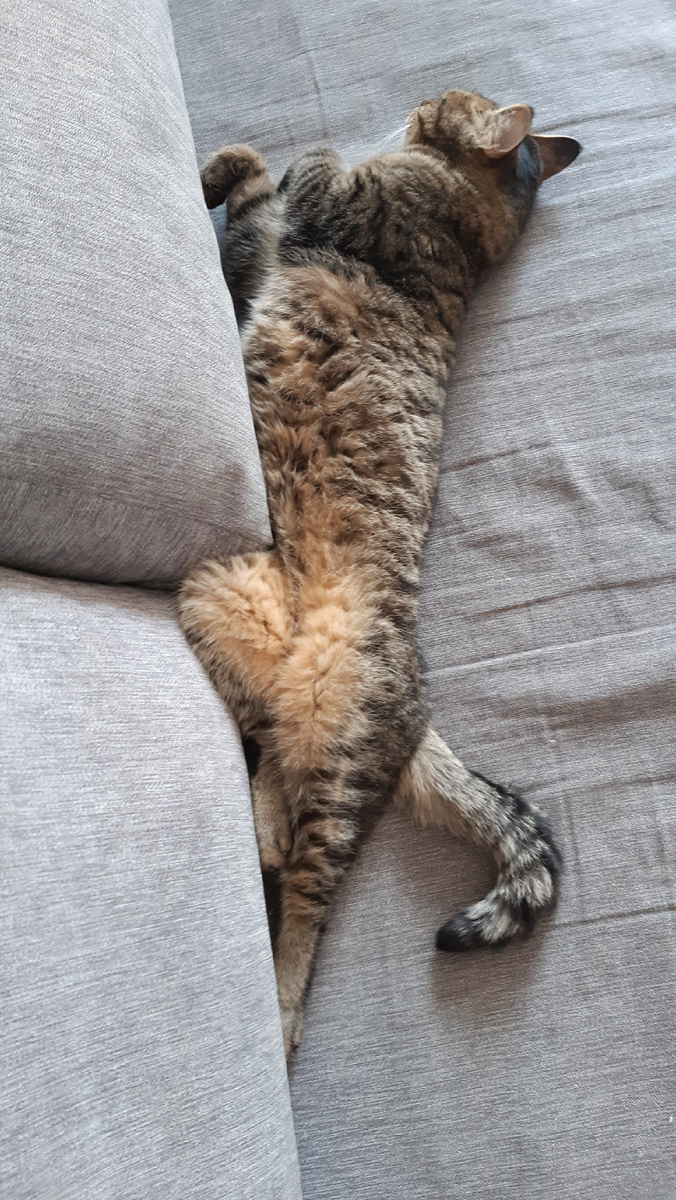 Кузя забалдел.