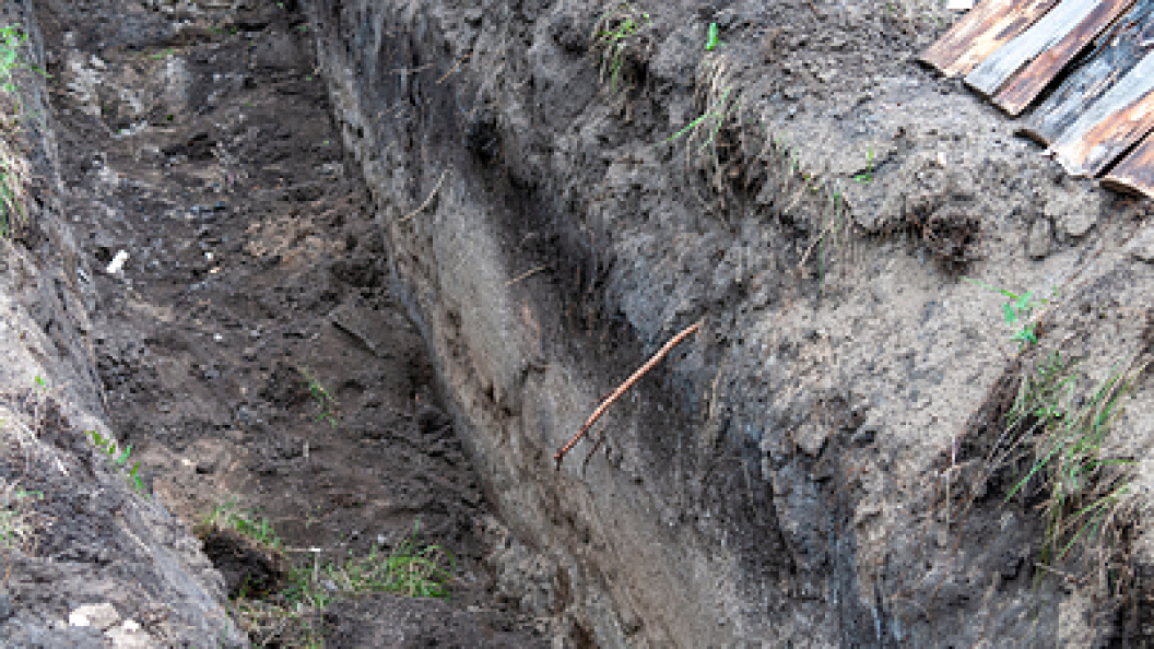    Svetlana Vozmilova/Globallookpress