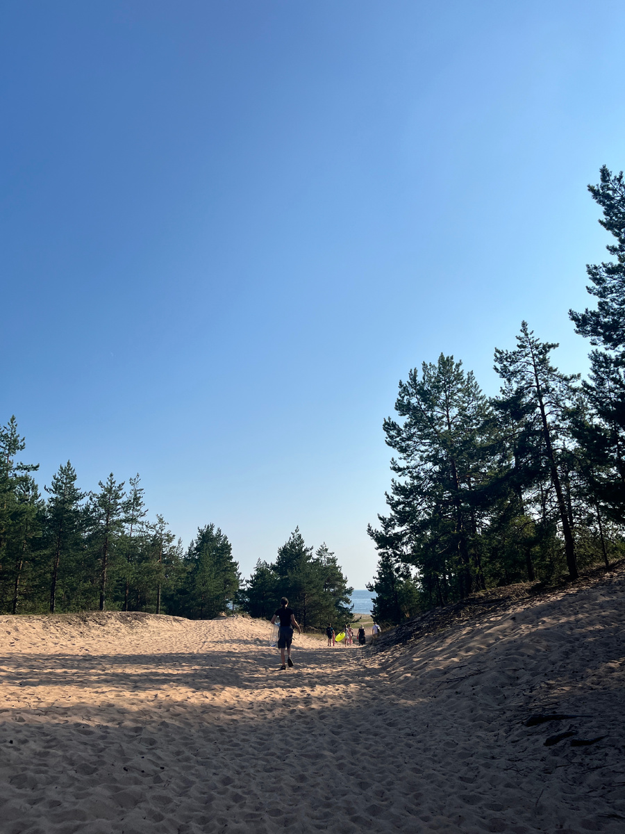 Вот тут похоже на выход на пляж Куршской косы