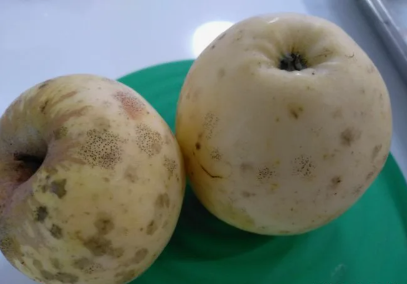 Ваша помощь каналу, просто поставить лайк👍👍👍👍👍👍