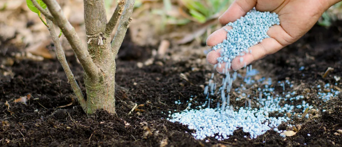 Нажимайте пальчик вверх👍👍👍👍👍👍👍