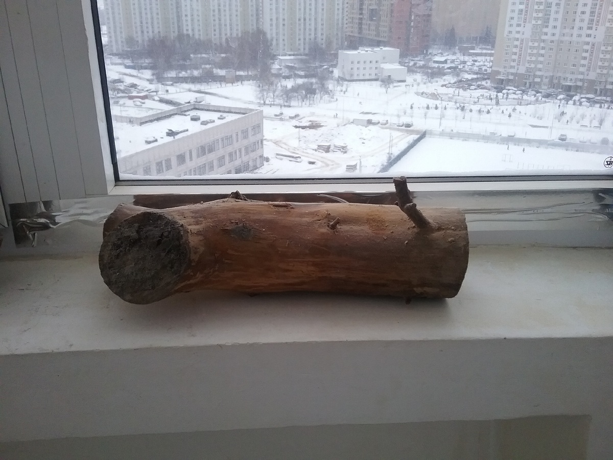 фото из личного архива