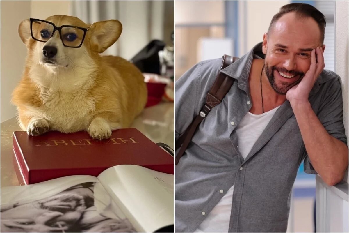    Пока книгу изучает корги Аверина Макс.