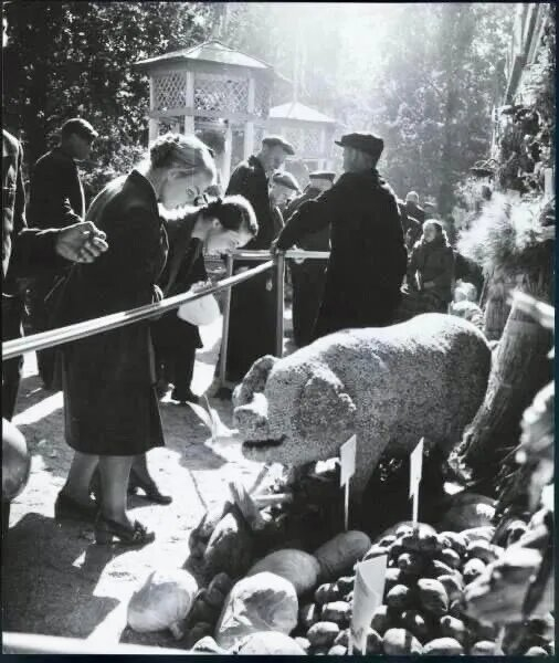 Предоставил Историк Игорь