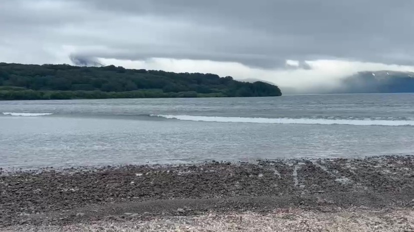   РИА Новости Пресс-служба Кроноцкого заповедника