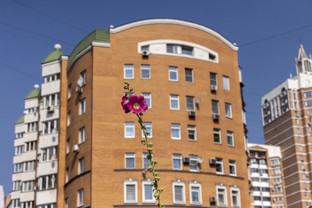    Фото © Дмитрий Дубинский / Абзац