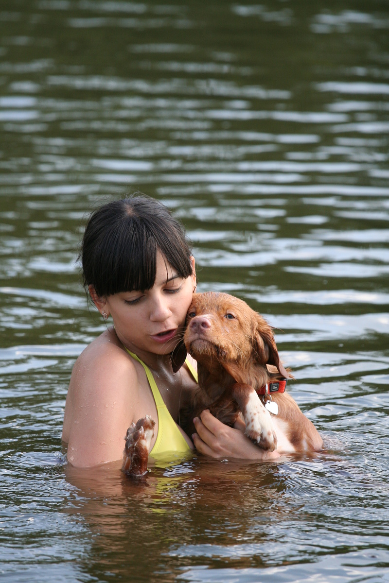 Лиса. Собаки - мои первые "дети". :)