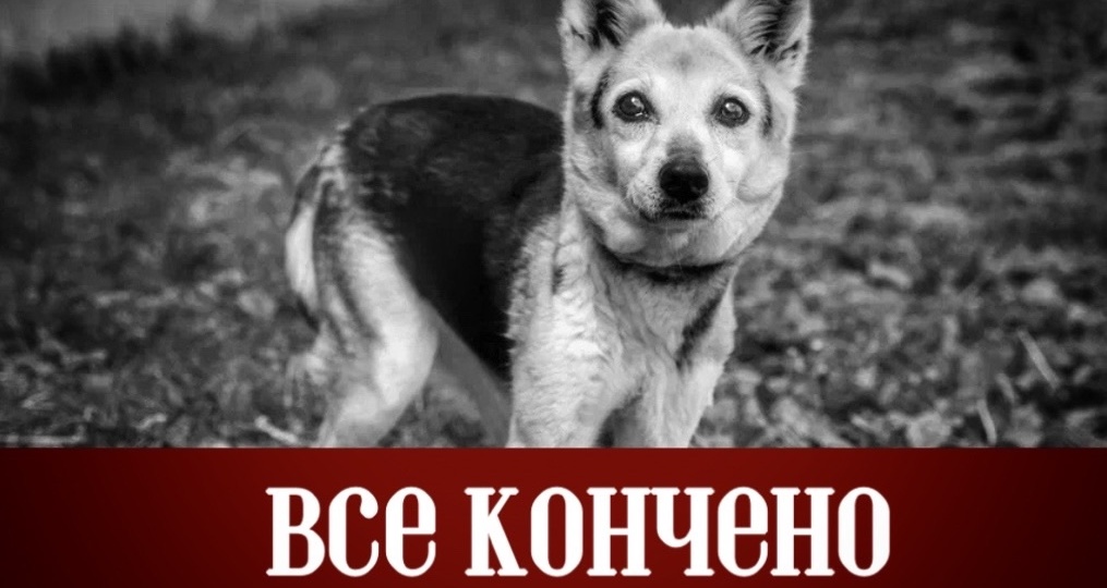 Снова над ХОСПИСОМ повисла угроза ВЫСЕЛЕНИЯ!
