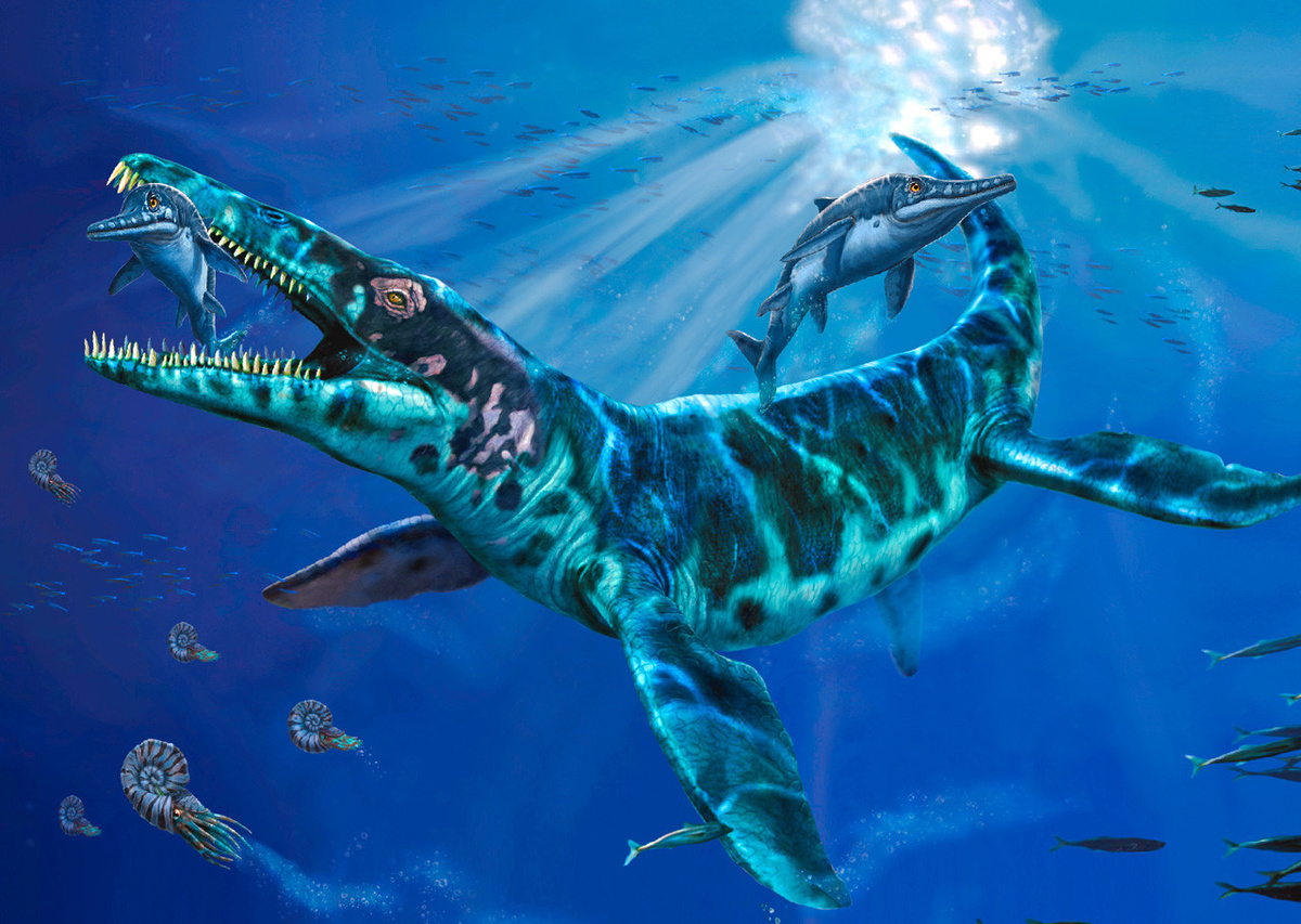 Изменение сайт картинки https://goo.su/lIQfRKt Плезиозавр