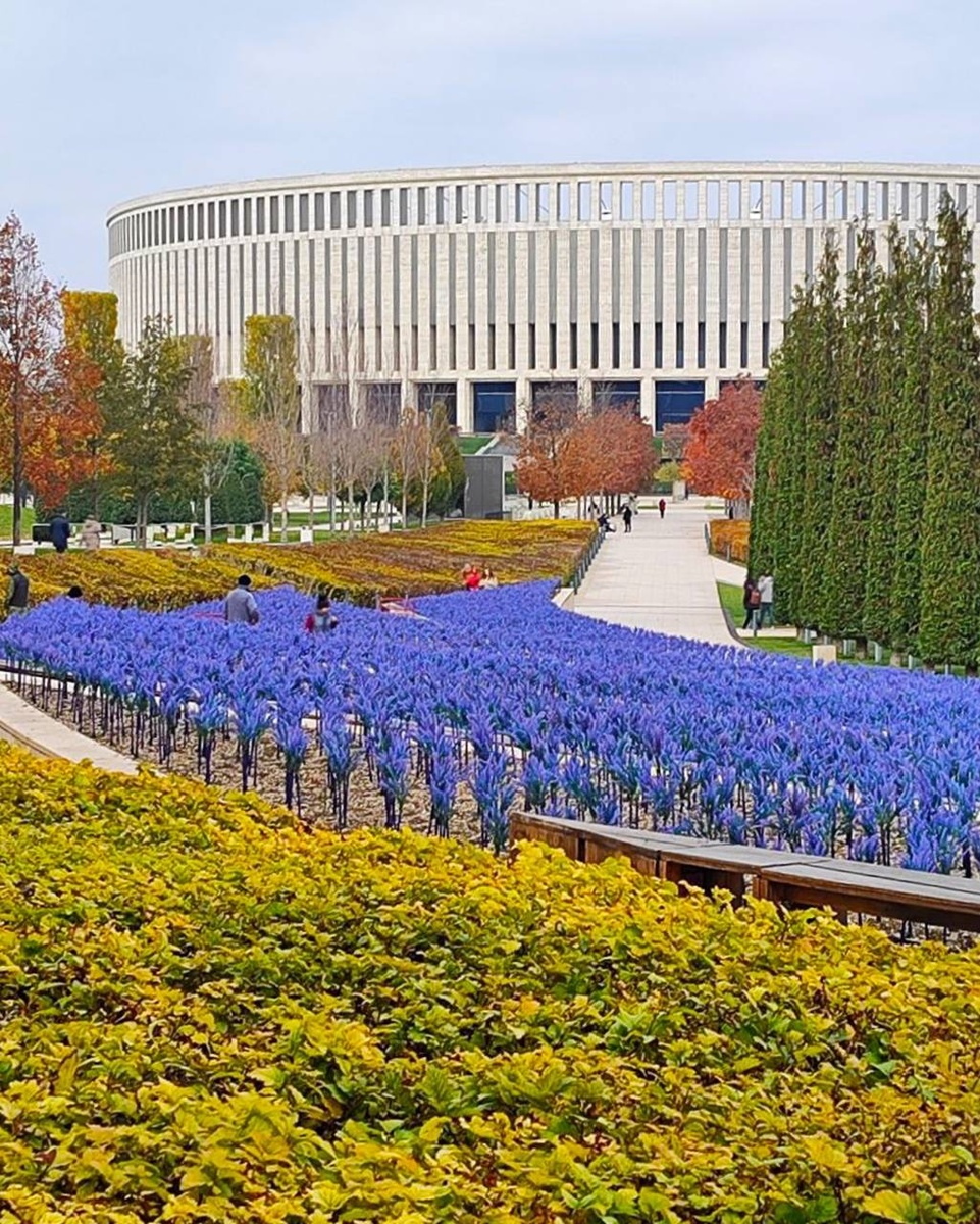 Искусственный шалфей в Парке Галицкого 