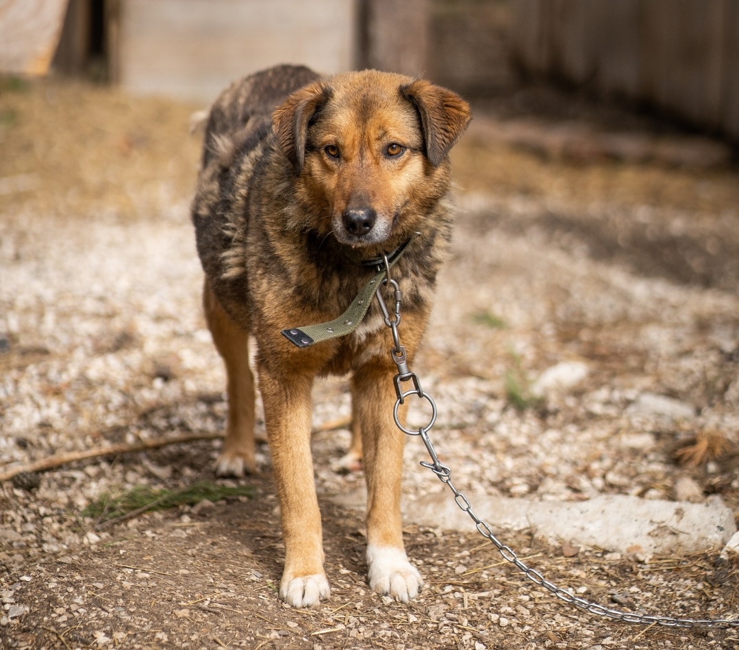 Синди апрель 2025