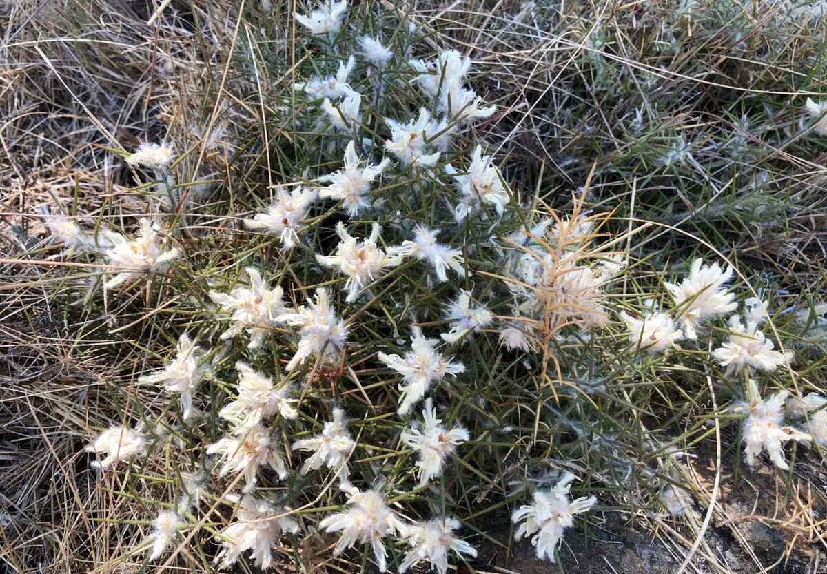 Фото: UfacityNews.ru