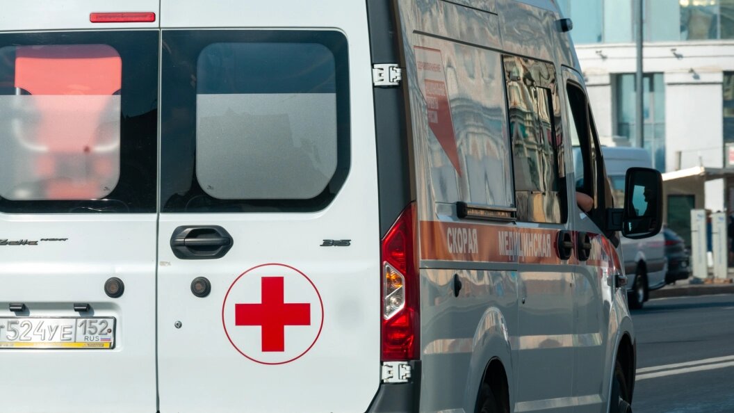    Фото: Svetlana Vozmilova/Globallookpress