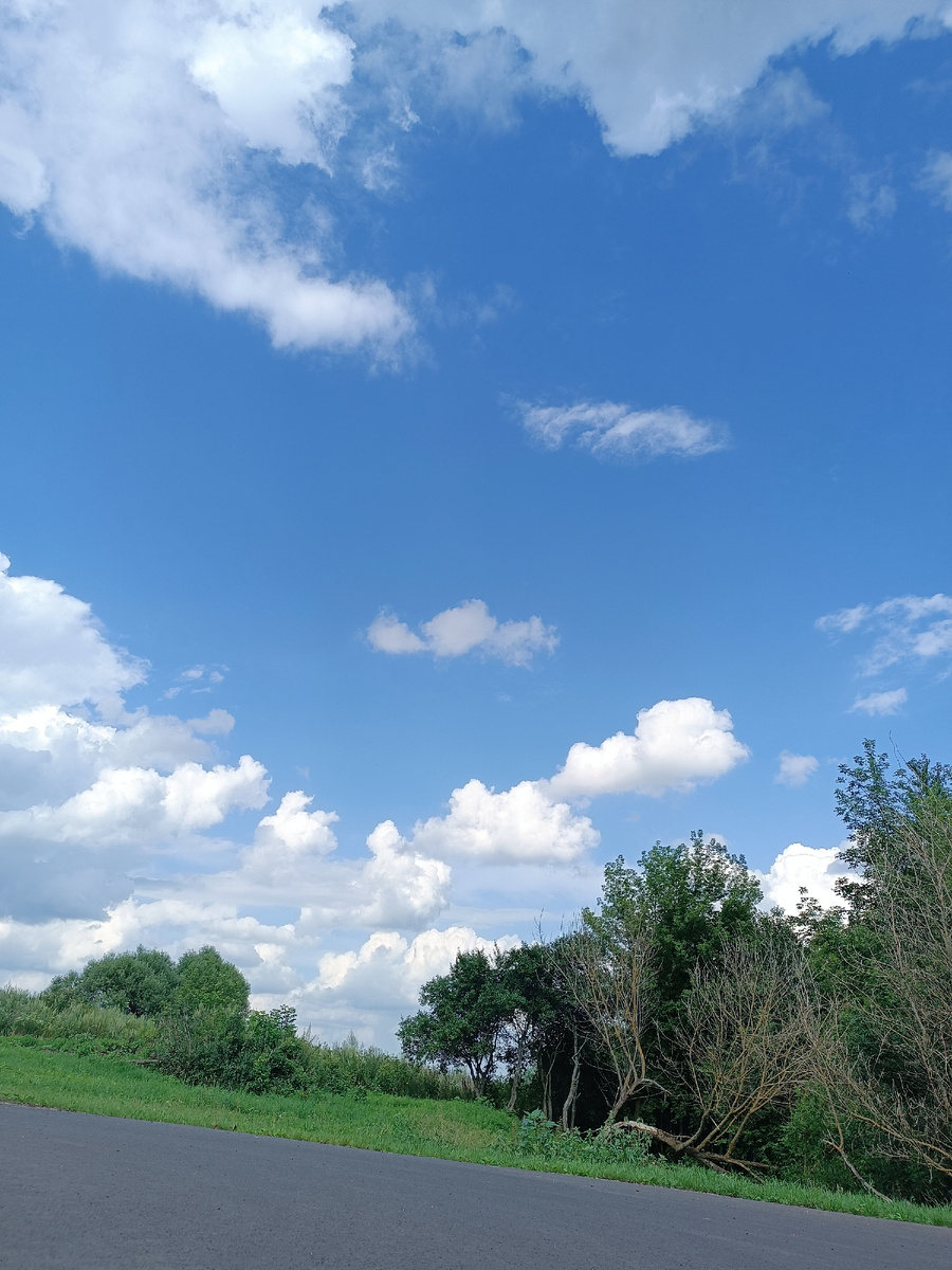 Вот такой вид