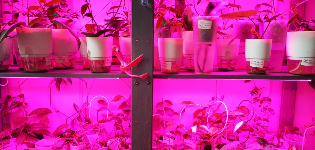 гостиная, стеллаж