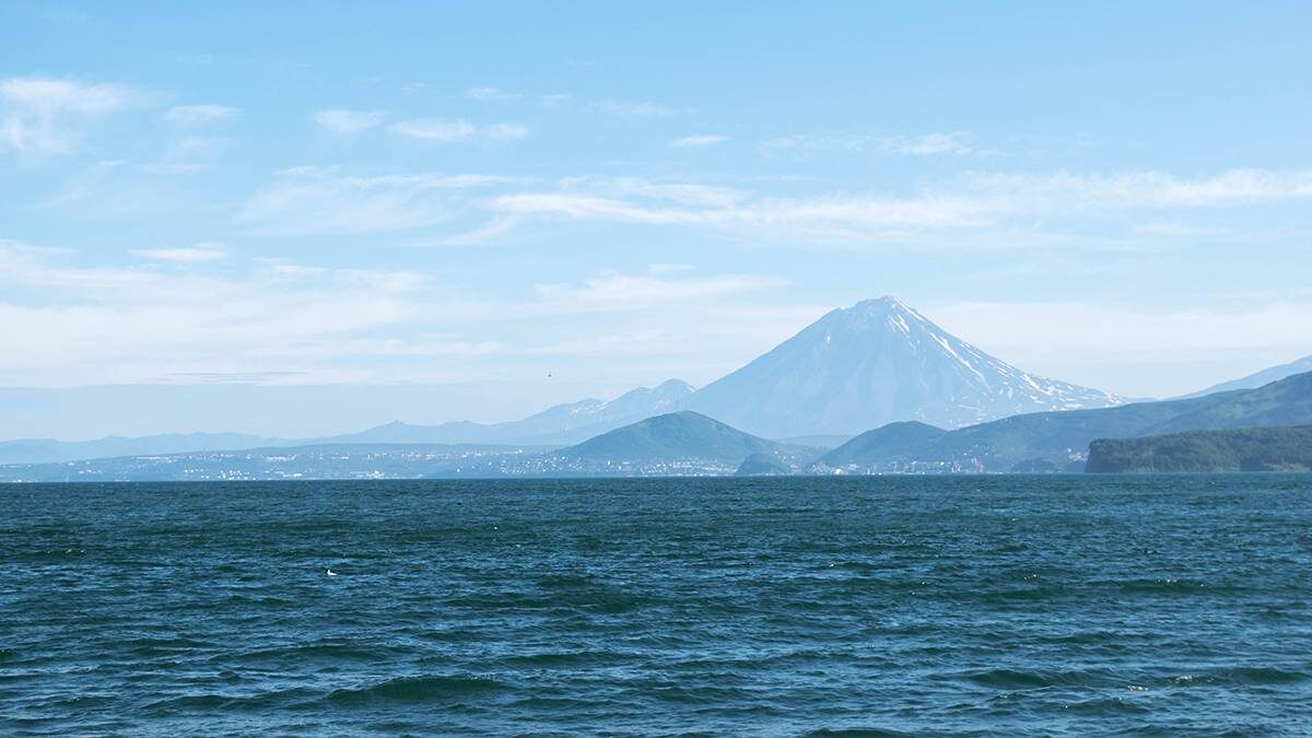    Фото: Shutterstock