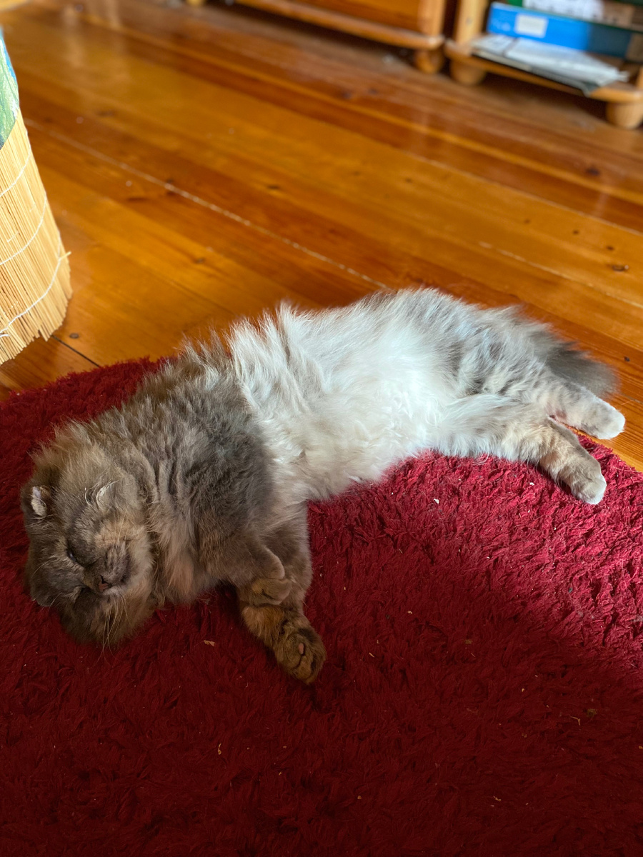 Филе жара совершенно спать не мешает. Везде фото автора.