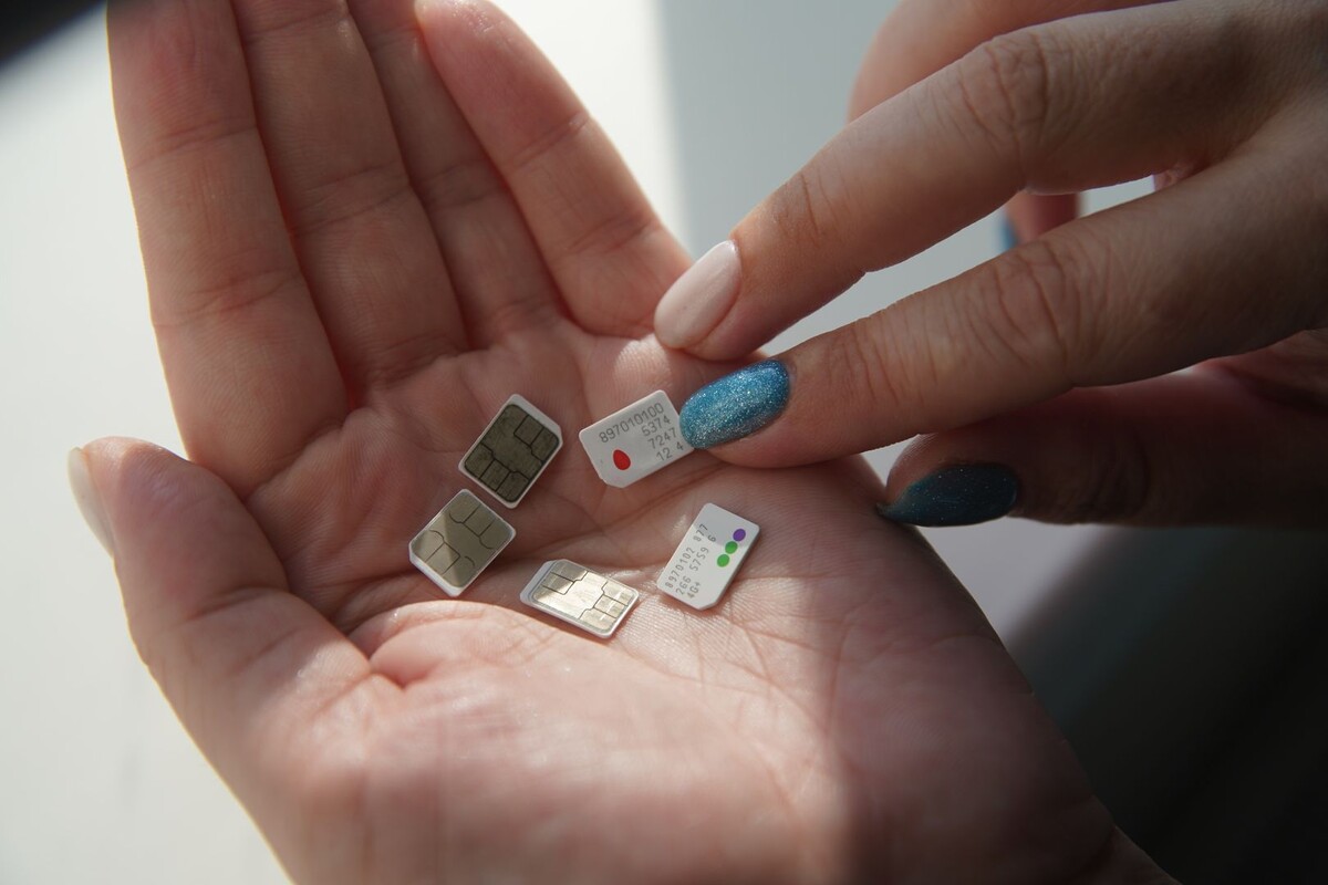     / Источник: © ИЗВЕСТИЯ/Эдуард Корниенко