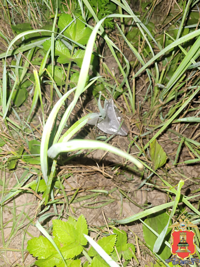 Под Тверью задержали двух молодых мужчин, приехавших за закладкой с мефедроном