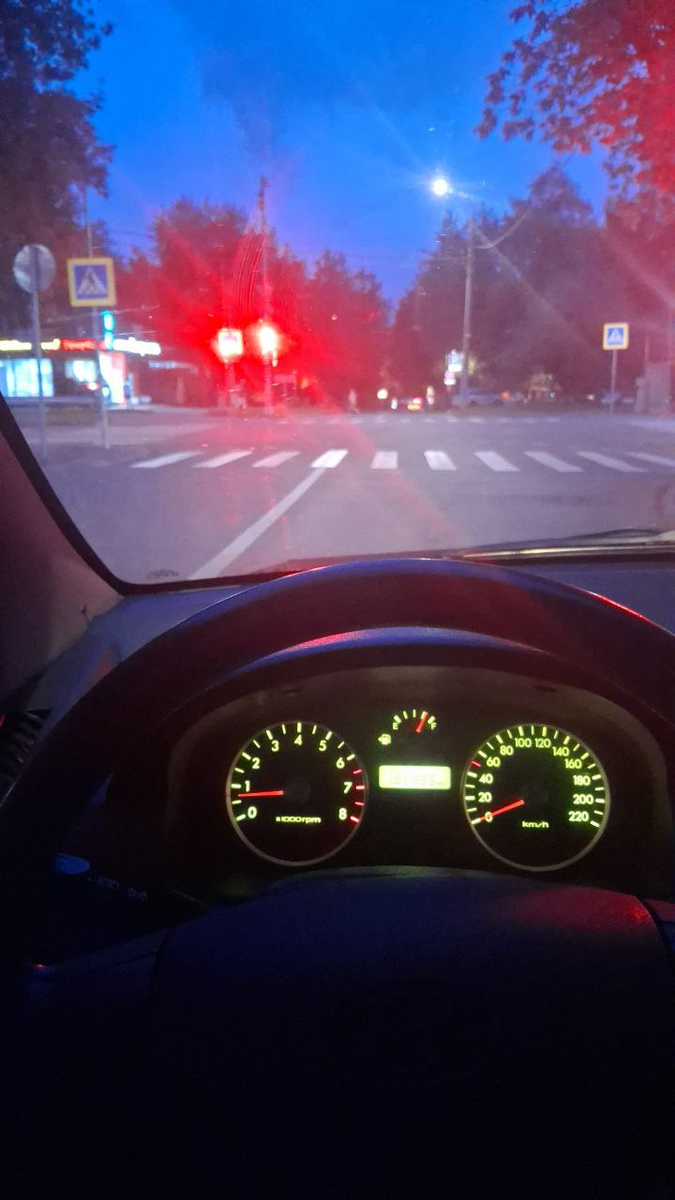 Крадусь в ночи после кормления кошечек у родителей. https://dzen.ru/woodduck