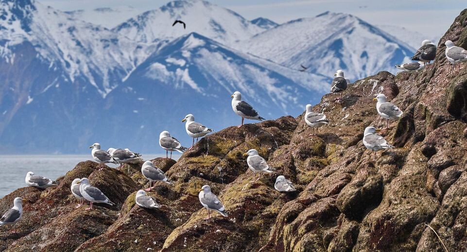    Guo Feizhou/XinHua / www.globallookpress.com