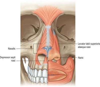 Фото: clinicalgate.com