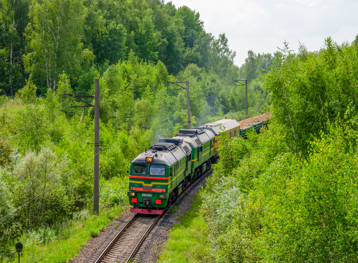 Тепловоз 2М62-0824 с думпкарами. 