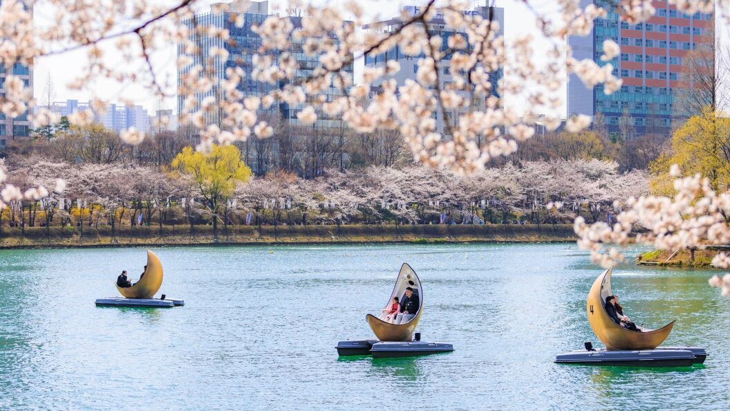    Фото: Park Jintaek/Globallookpress