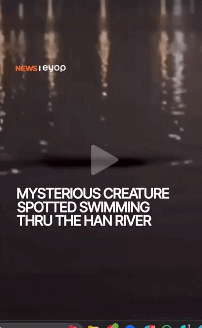    Видео: tg-канал "Новости со всего света"