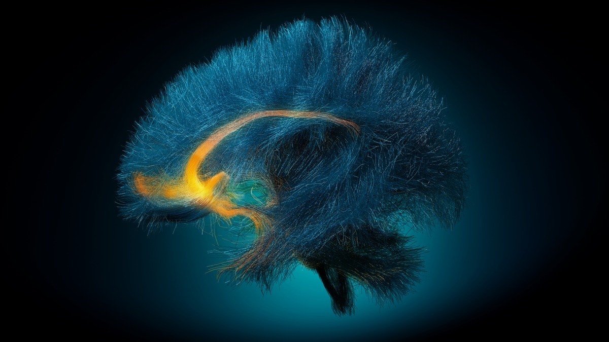 Источник: Georgia Institute of Technology, Icahn School of Medicine at Mt. Sinai and TeraPixel  📷
