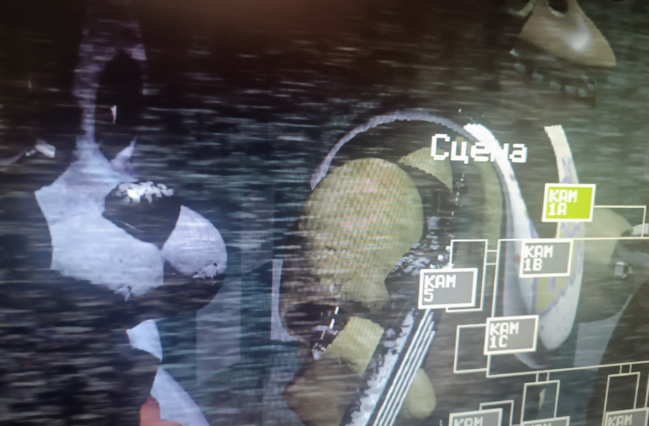 Снято с охранного монитора 😄