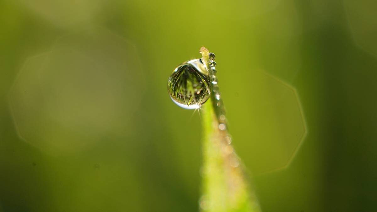    Фото: Анатолий Цымбалюк / Вечерняя Москва