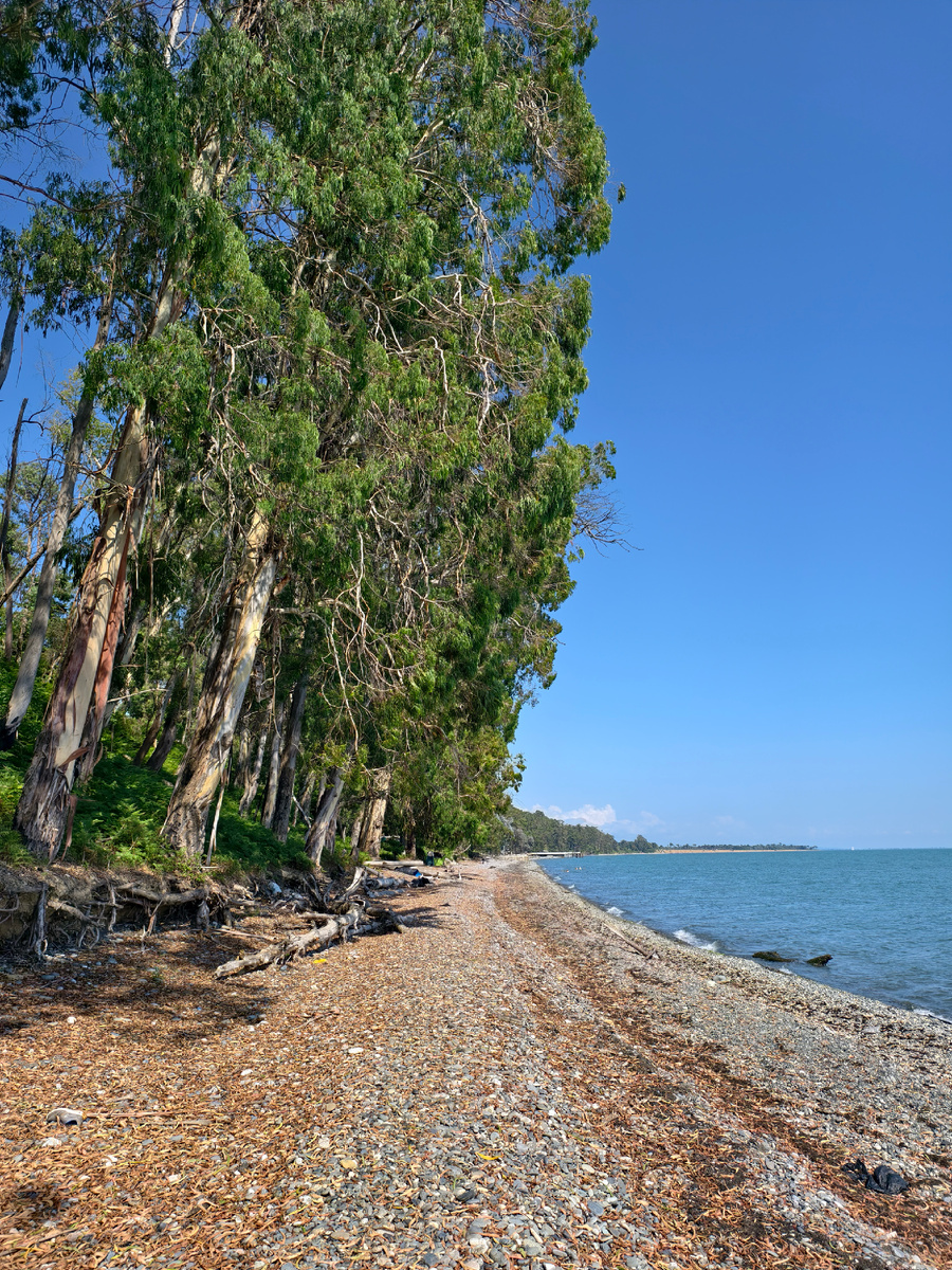 Эвкалиптовый пляж. На фото дикий, дальше —облагороженный.