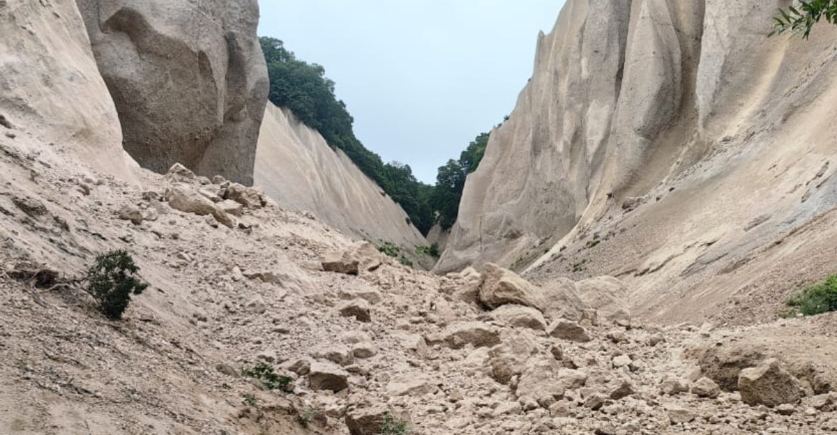 Фото: В урочище «Кутхины баты» после землетрясения / Кроноцкий заповедник